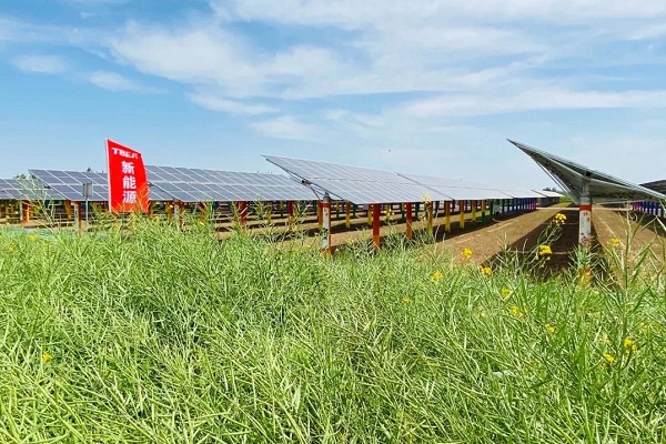 多晶硅,光伏,特變電工 多晶硅,光伏,特變電工