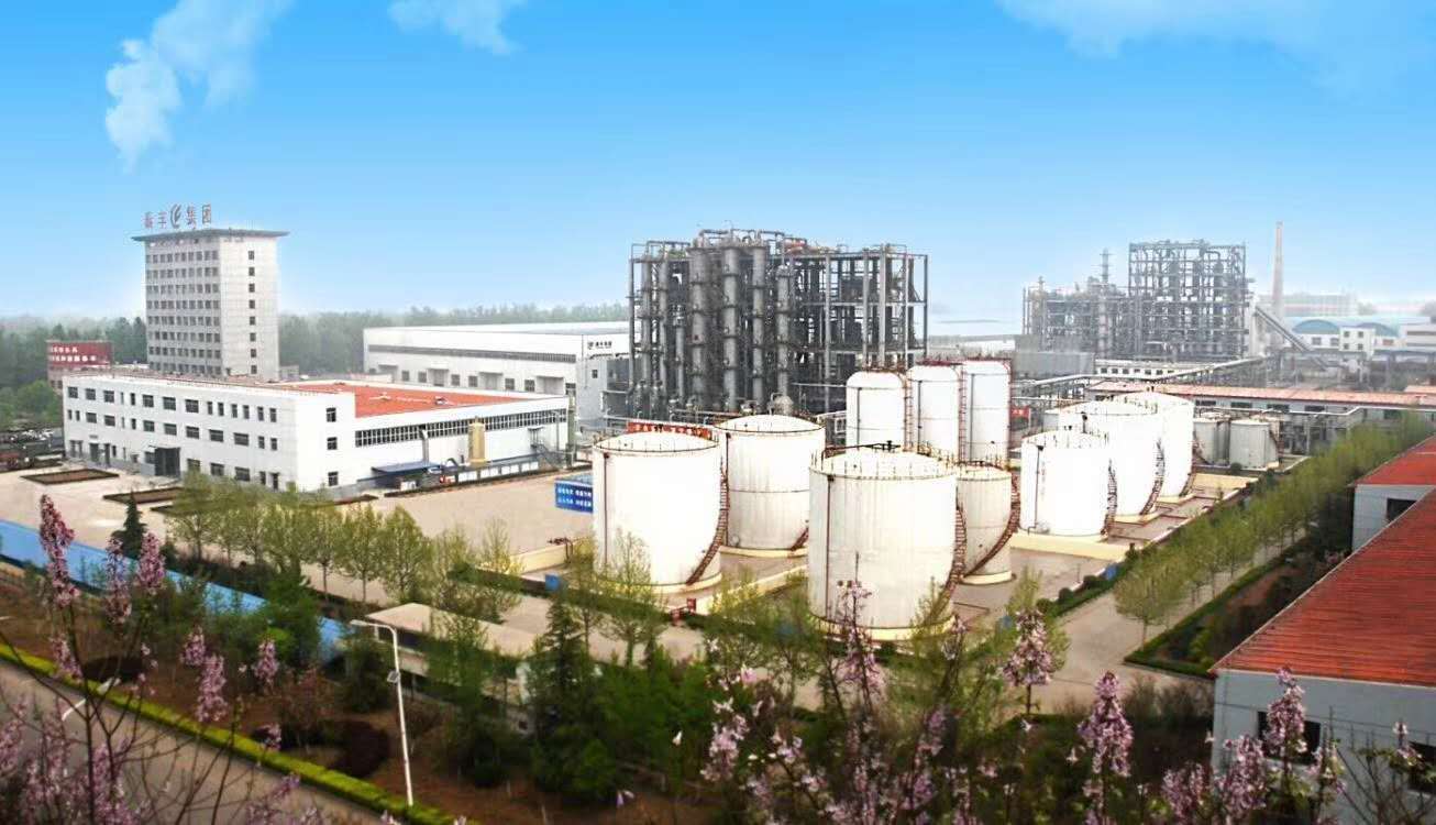 山東飛揚化工有限公司