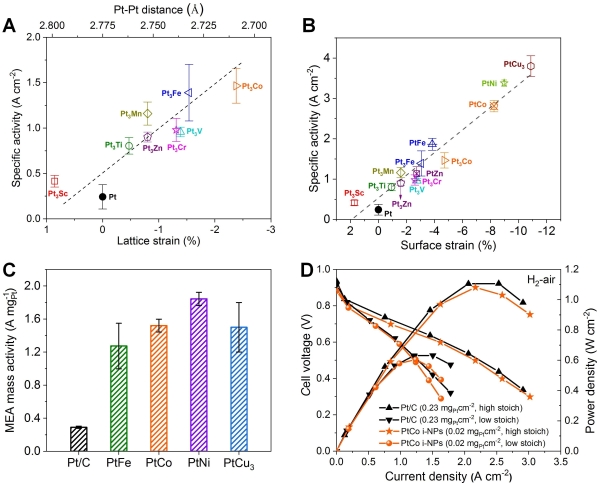 圖5. (A、B)IMCs電催化氧還原本征活性與表面壓縮應(yīng)變呈現(xiàn)強(qiáng)關(guān)聯(lián)性;(C)IMCs催化劑氫氧燃料電池質(zhì)量活性(0.9 V);(D)IMCs和商業(yè)Pt/C催化劑氫空燃料電池性能對比(IMCs催化劑Pt用量比Pt/C低10倍以上) 圖5. (A、B)IMCs電催化氧還原本征活性與表面壓縮應(yīng)變呈現(xiàn)強(qiáng)關(guān)聯(lián)性;(C)IMCs催化劑氫氧燃料電池質(zhì)量活性(0.9 V);(D)IMCs和商業(yè)Pt/C催化劑氫空燃料電池性能對比(IMCs催化劑Pt用量比Pt/C低10倍以上)