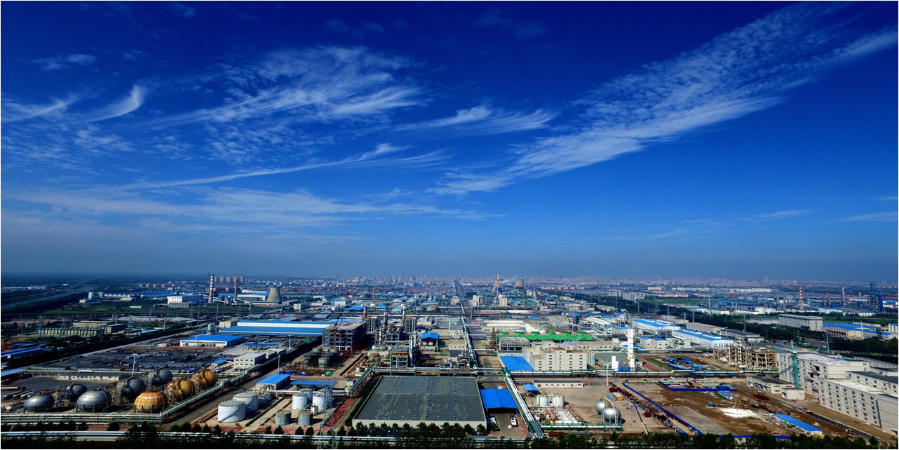 濱化集團股份有限公司 濱化集團股份有限公司