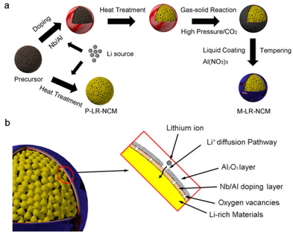 圖3 富鋰錳基正極材料的復合表面改性示意圖