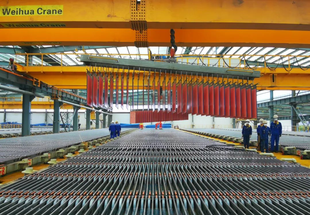 洛陽鉬業 洛陽鉬業