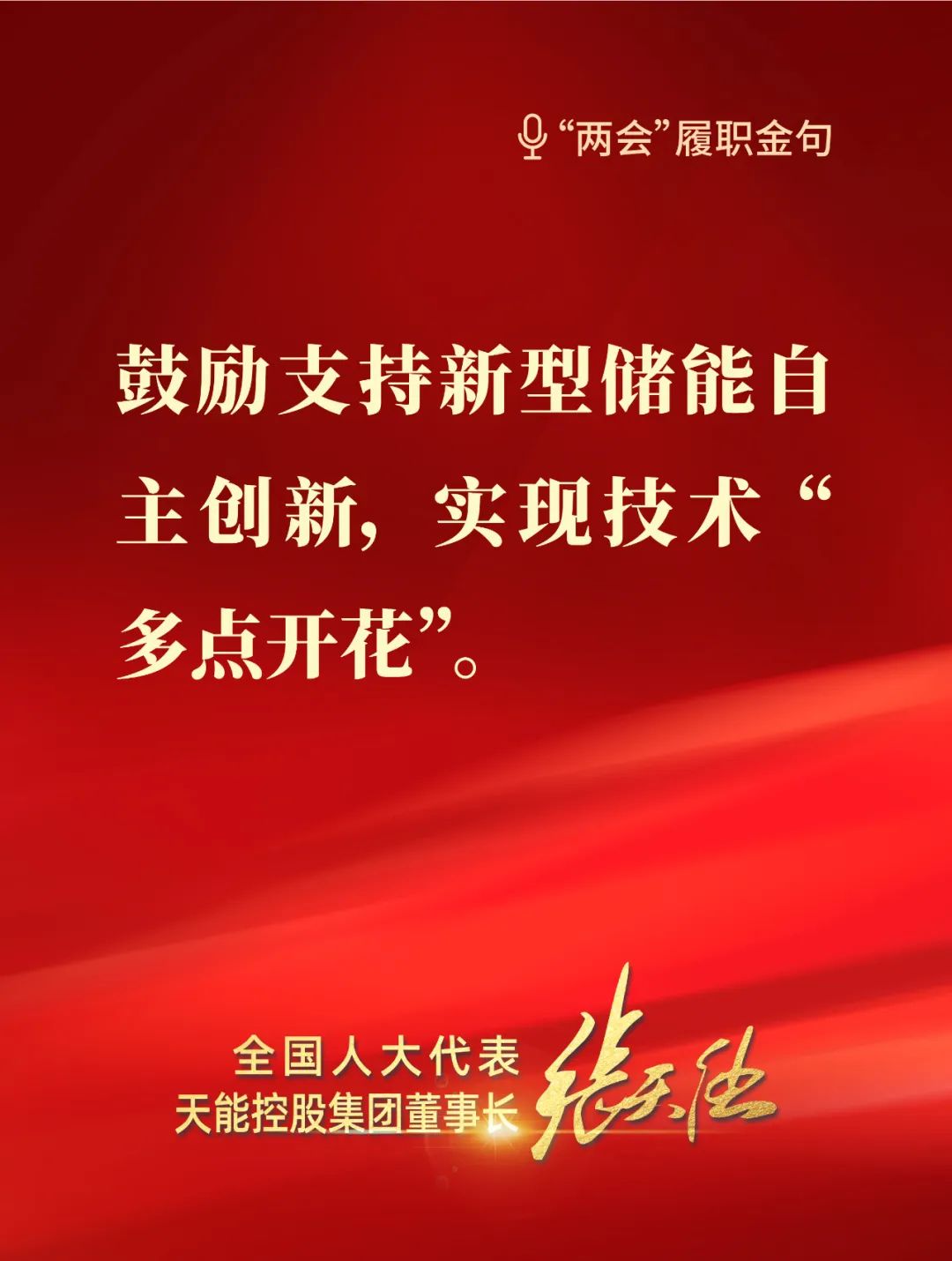 全國(guó)人大代表，天能控股集團(tuán)董事長(zhǎng)張?zhí)烊? style=