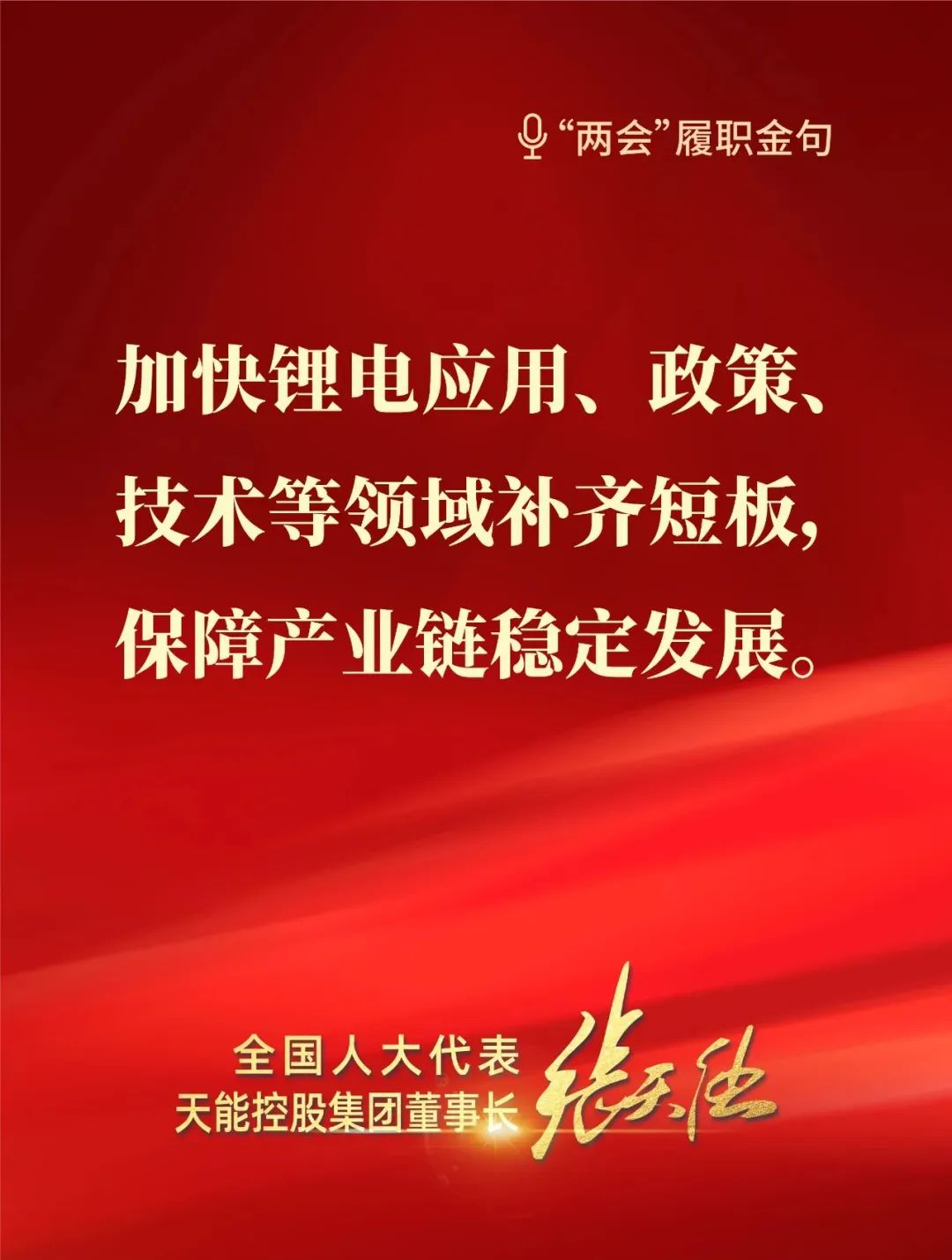 全國(guó)人大代表，天能控股集團(tuán)董事長(zhǎng)張?zhí)烊? style=