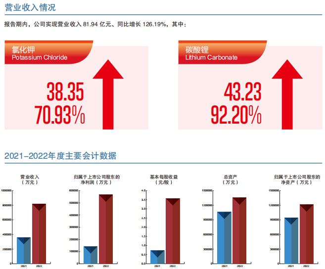 藏格礦業(yè) 藏格礦業(yè)