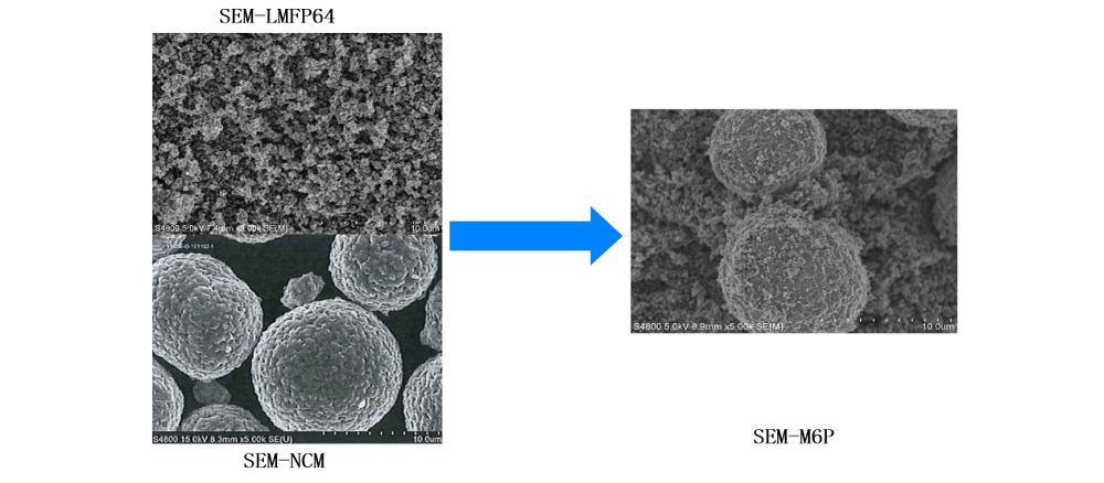 圖1:電鏡圖 圖1:電鏡圖