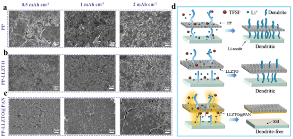 循環后負極形貌對比及調控鋰沉積示意圖 循環后負極形貌對比及調控鋰沉積示意圖