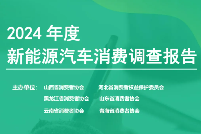 2024年度新能源汽車消費(fèi)調(diào)查：15萬(wàn)元以下的價(jià)格更受青睞
