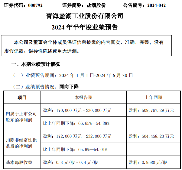 鹽湖股份 鹽湖股份