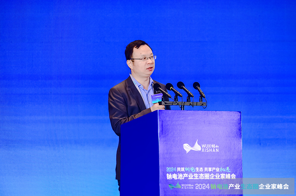 趙勇強:新型儲能大規模發展安全問題日益突出 鈉電池成為技術路線之一