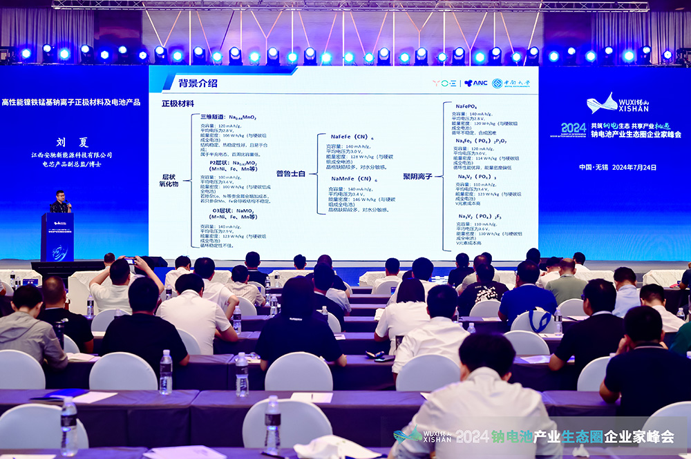 2024中國（無錫）鈉電池產業生態圈企業家峰會現場