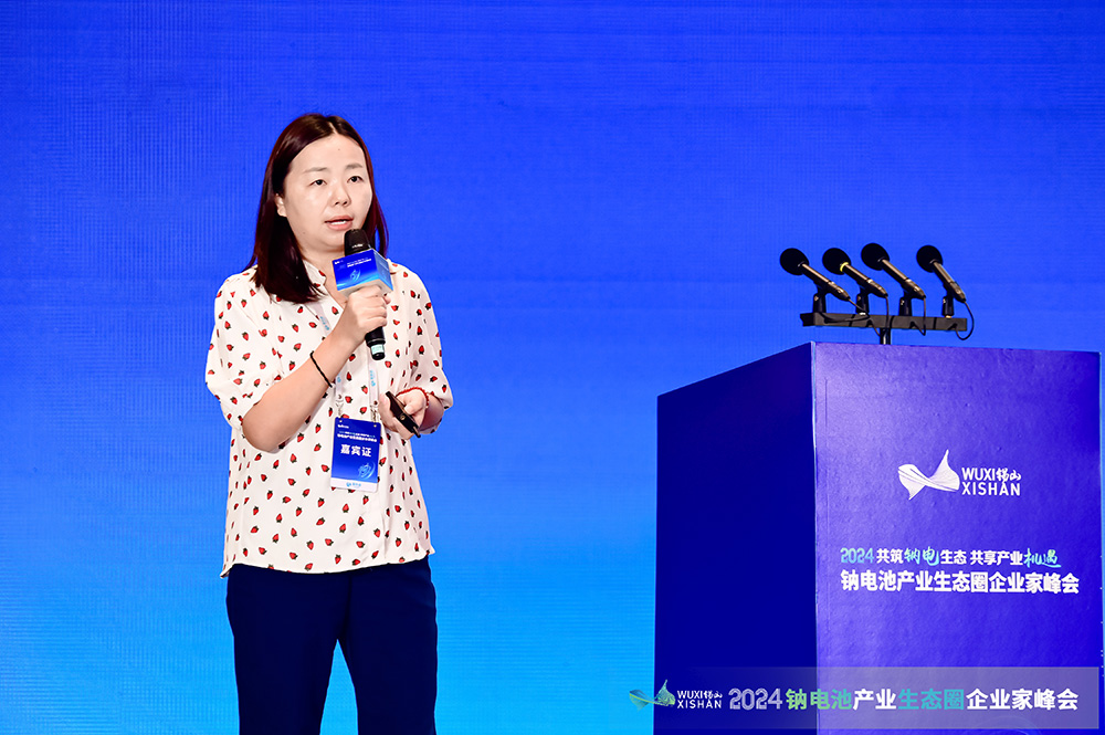 中興新材張輝:掌握鈉電池特定性能需求 構建定制化解決方案