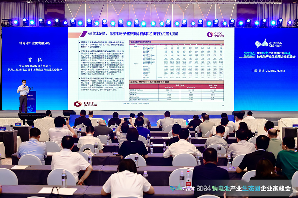 2024中國(無錫)鈉電池產業生態圈企業家峰會現場 2024中國(無錫)鈉電池產業生態圈企業家峰會現場