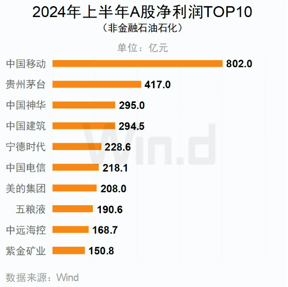 2024年上半年A股凈利潤TOP10(非金融石油石化) 2024年上半年A股凈利潤TOP10(非金融石油石化)