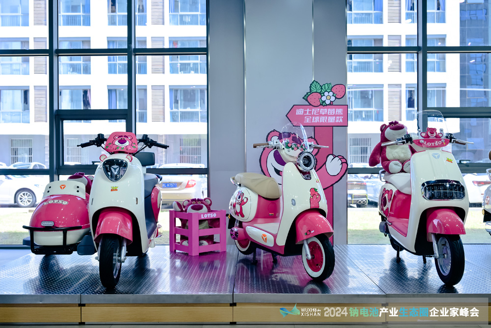 電動兩輪車 電動兩輪車