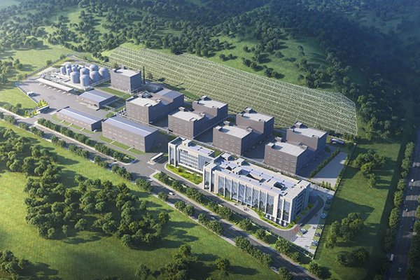 圖片來(lái)源:大亞灣發(fā)布 圖片來(lái)源:大亞灣發(fā)布