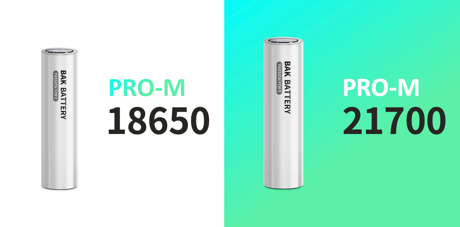 比克電池 比克電池