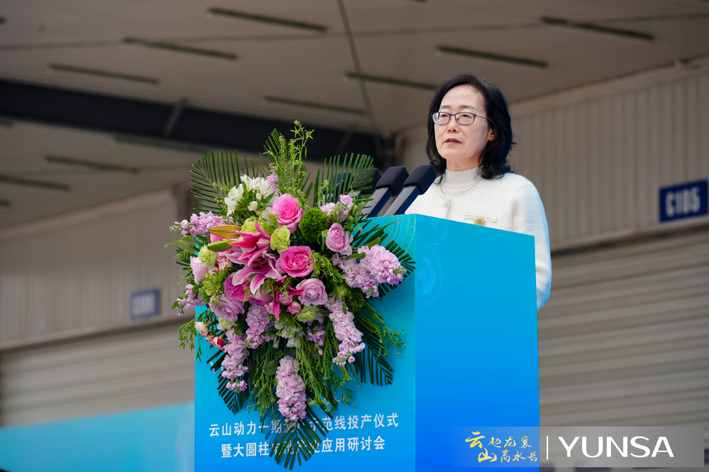 中國汽車動力電池產(chǎn)業(yè)創(chuàng)新聯(lián)盟 秘書長許艷華