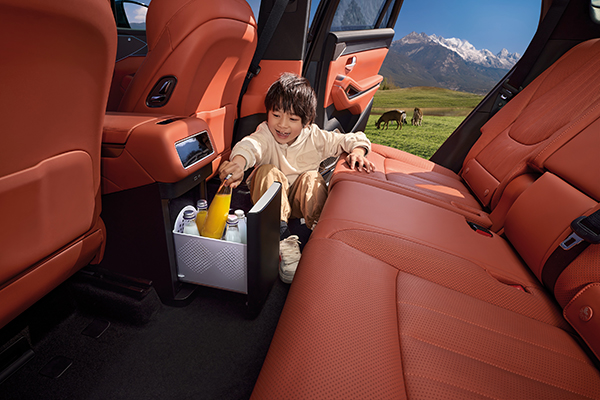 比亞迪唐L 比亞迪唐L