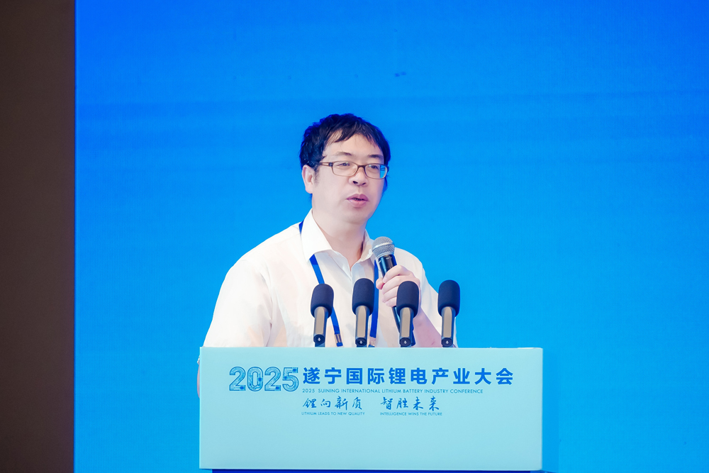 吳宇平：儲能才真正起步 破解電池技術(shù)安全問題已十分迫切