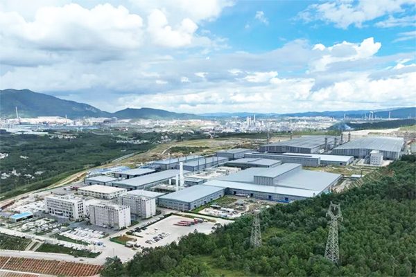 炭素巨頭出手!劍指負極材料!杉杉集團重整迎新變